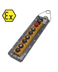 Mike-X station, Mike-X controller, TER Mike-X, atex pendant control station, Mike-X hangende drukknoppaneel