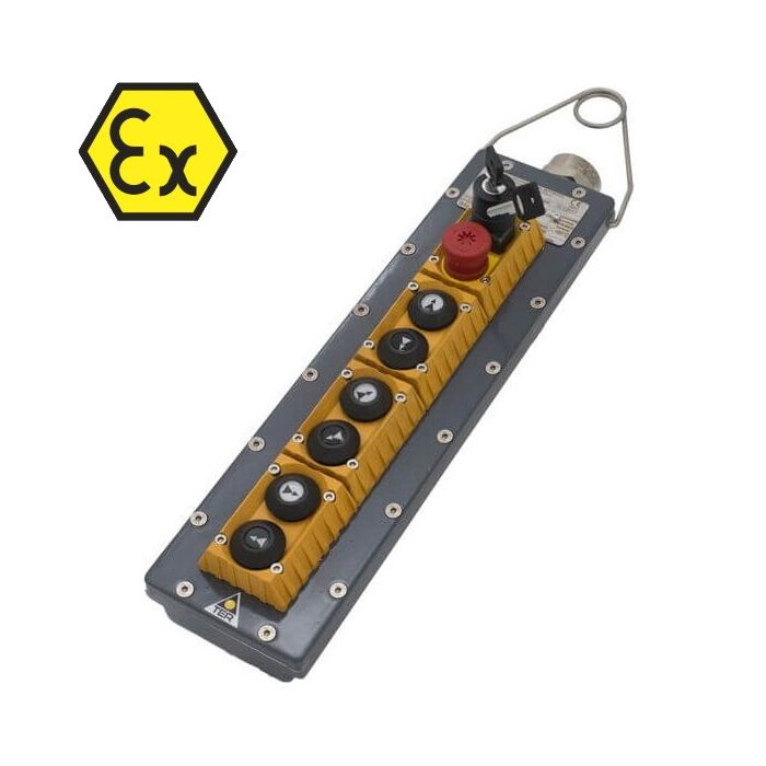 Mike-X station, Mike-X controller, TER Mike-X, atex pendant control station, Mike-X hangende drukknoppaneel